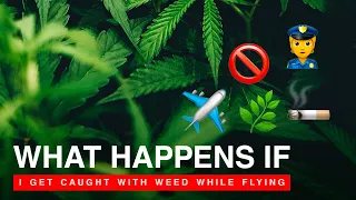 Flying With Weed - Everything That You Need To Know | Amin Law