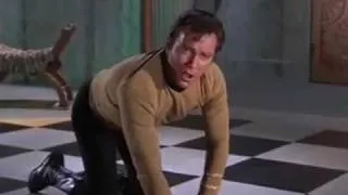 Shatner On LSD: BACK TO THE SHIP!!!