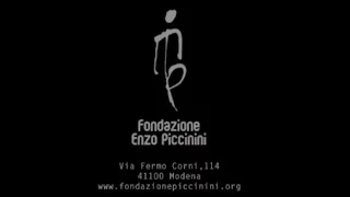 Fondazione Enzo Piccinini