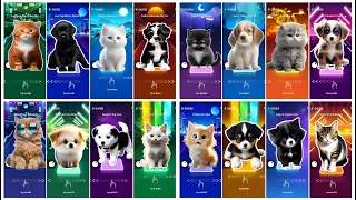 Cute Cats vs Dogs Lady Gaga Bloody Mary | Shakira Waka Waka | Sia Unstoppable | Luis Fonsi Despacito