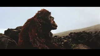 King Kong gets knocked out