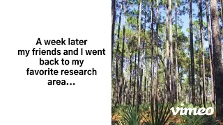 My Bigfoot research evidence during Covid in the Ocala National Forest