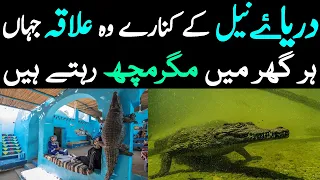 River Nile Crocodile Villageدریاۓ نیل کے کنارے وہ علاقہ جہاں ہر گھر میں مگرمچھ رہتے ہیں  LalGulab