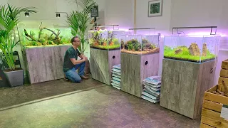 Scaped Nature Aquascape Store - NOW OPEN!