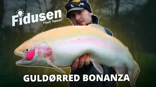 Amazing Golden Trout Fishing! Catch More Fish With These Tricks - Put & Take