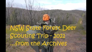 Deer Scouting. NSW State Forest ...from the Archives - 2021