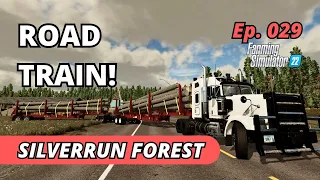 Logging Road Train & Cotton Harvesting - Silverrun Forest EP 029 - Farming Simulator 22 - PS5