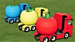 TRANSPORTING OF COLORS ! GIANT TOMATOES SELLING With MERCEDES TRUCKS ! Farming Simulator 22