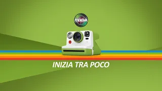 Polaroid: Storia e Tecniche Creative