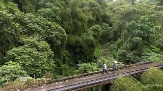 La Martinique, terre de randonnée - Échappées belles