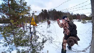 24-Часа в Чернобыльской Зоне зимой [1-Часть] Поставил фото ловушку