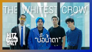 HITZ One Take ONLY | บ่อน้ำตา - THE WHITEST CROW