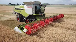 Claas Lexion 780 Terra Trac Harvesting Barley w/ 41 ft. 1230 Vario Header | Harvest 2020 | DK Agri