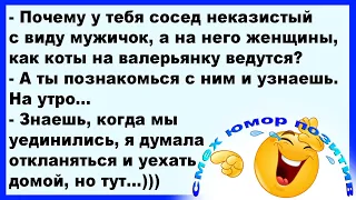 Почему на твоего соседа женщины, как коты на валериану ведутся?... Смех! Юмор! Позитив!!!