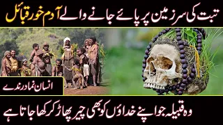 most amazing and developed tribes in the world in urdu hindi || urdu cover documentary
