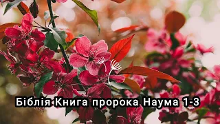 Аудіо Біблія українською мовою ❤️ Книга пророка Наума 1-3🌷#біблія