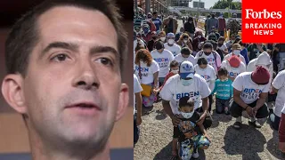 Tom Cotton: Three steps to STOP surge of illegal immigrants