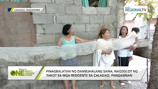 One North Central Luzon: Pinagbalatan ng dambuhalang sawa, nagdulot ng takot sa mga residente