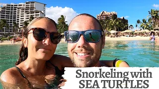 SWIMMING WITH SEA TURTLES | Best private beach on Oahu, Hawaii