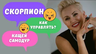 Мужчина Скорпион - Как управлять? Научу! Гороскоп Кащея!