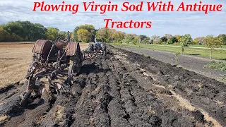 Plowing Virgin Ground with Antique Tractors!