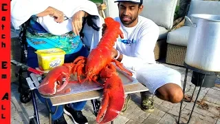 PET 15lb GIANT LOBSTER visits RED LOBSTER!