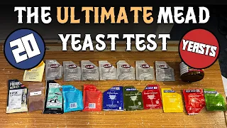 The Ultimate Mead Yeast Test (20 Different Yeasts with Descriptions!)
