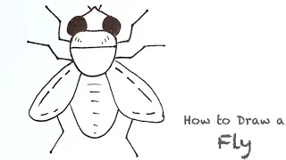 How to Draw A Fly Easy Step by Step