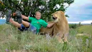 SHOCK video! A man teaches a lion how not to do it!