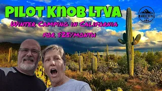 Cheap Winter Camping in California- Pilot Knob Long Term Visitor Area (LTVA) Review
