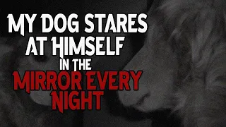 My dog stares at himself in the mirror every night by ifoundthishumerus89 | Short Scary Stories