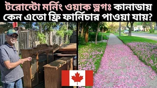 টরোন্টো মর্নিং ওয়াক ভ্লগঃ কানাডায় কেন এতো ফ্রি ফার্নিচার পাওয়া যায়? Morning walk Toronto Canada