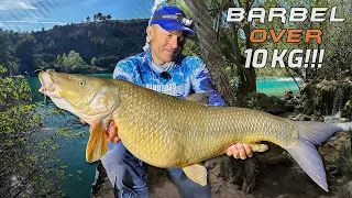 Gábor Döme – Barbel over 10 kg!!!