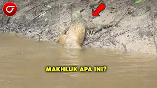 WARGA HEBOH! Makhluk Aneh Berbulu Ini Tiba-Tiba Muncul Dari Dalam Sungai - Makhluk Misterius