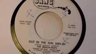 The Beach-Nuts - Out in the Sun (Hey-O) (1965)