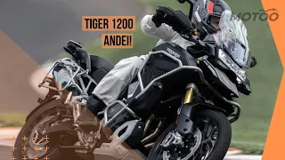 Uma moto aventureira de 150 cv! Impressões Triumph Tiger 1200 2024