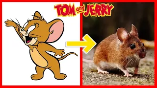 How Tom and Jerry Looks 💎Characters New In Real Life 2024💎 (Part 2)