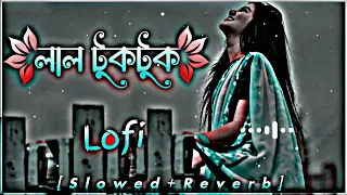 Lal Tuktuk Shari Pora Maiya Lofi | লাল টুক টুক শাড়ি পড়া মাইয়া | (Slowed+Reverb) Music Video 2023