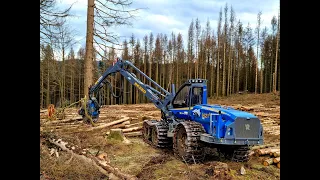 🌲The BIG one • *Rottne H21-D 6WD* • in strong wood • Unternehmen HZ-GbR • biggest Harvesters🌲