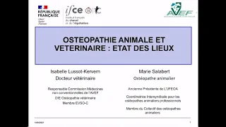 Ostéopathie animale et  vétérinaire  état des lieux - Isabelle Lussot-Kervern & Marie Salabert