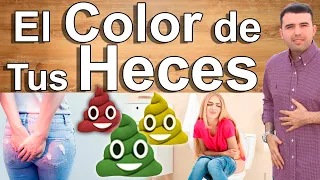 Qué Significa El Color De Tus Heces - Tus Heces Te Alertan Sobre Tu Salud -   EN VIVO