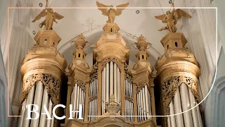 Bach - Pièce d'Orgue BWV 572 - Van Doeselaar | Netherlands Bach Society