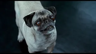 Men In Black II: The Best Of Frank The Pug (2002)