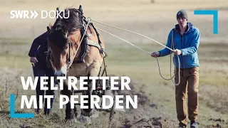 Weltretter mit einem PS - Ein Handwerker und seine Landwirtschaft mit Pferden | SWR Doku