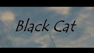 "Black Cat"| War Thunder Cinematic