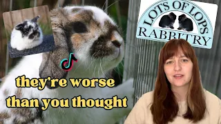 TikTok's Worst Rabbit Account