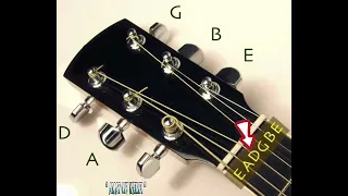 Stem Gitar  , LANGSUNG JADI