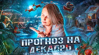 ЭНЕРГЕТИЧЕСКИЙ ПРОГНОЗ НА ДЕКАБРЬ 2022 | Лена Сулина