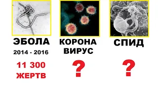 САМЫЕ СТРАШНЫЕ ЭПИДЕМИИ. Вот от чего больше всего умирали.