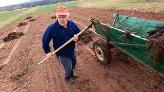 👍Tradycyjne Rozwalanie Obornika Pod Ziemniaki/ C 330 i Pług Unia Grudziądz 👍